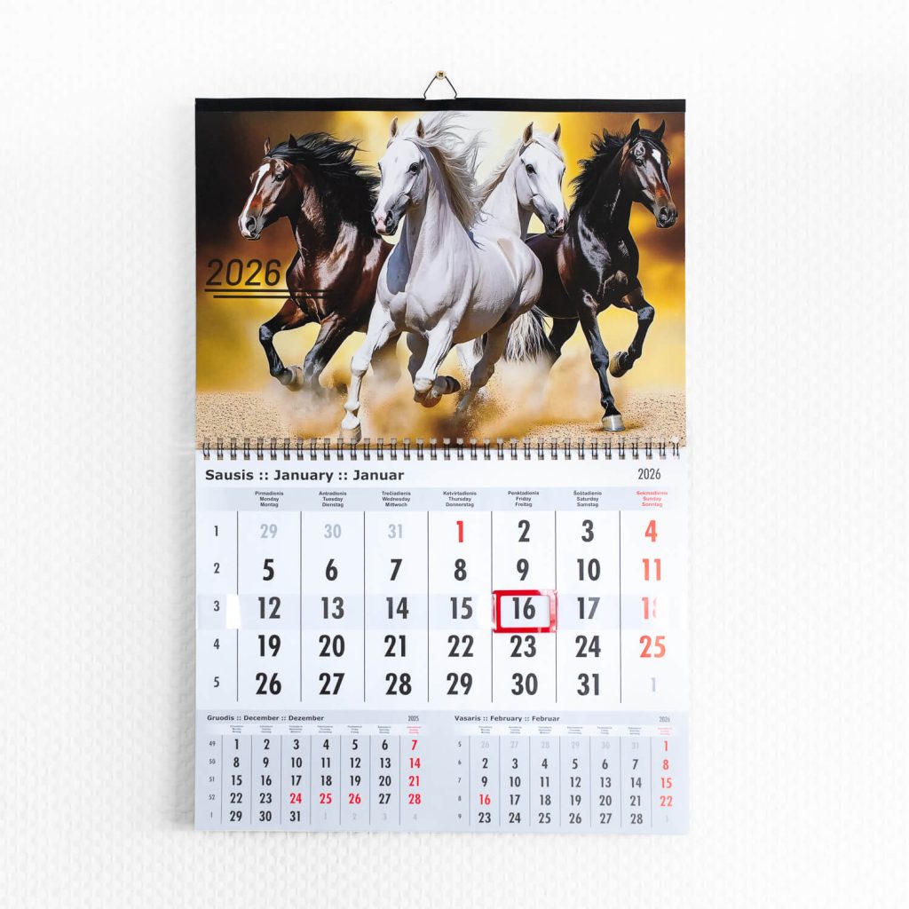 Single Product Image